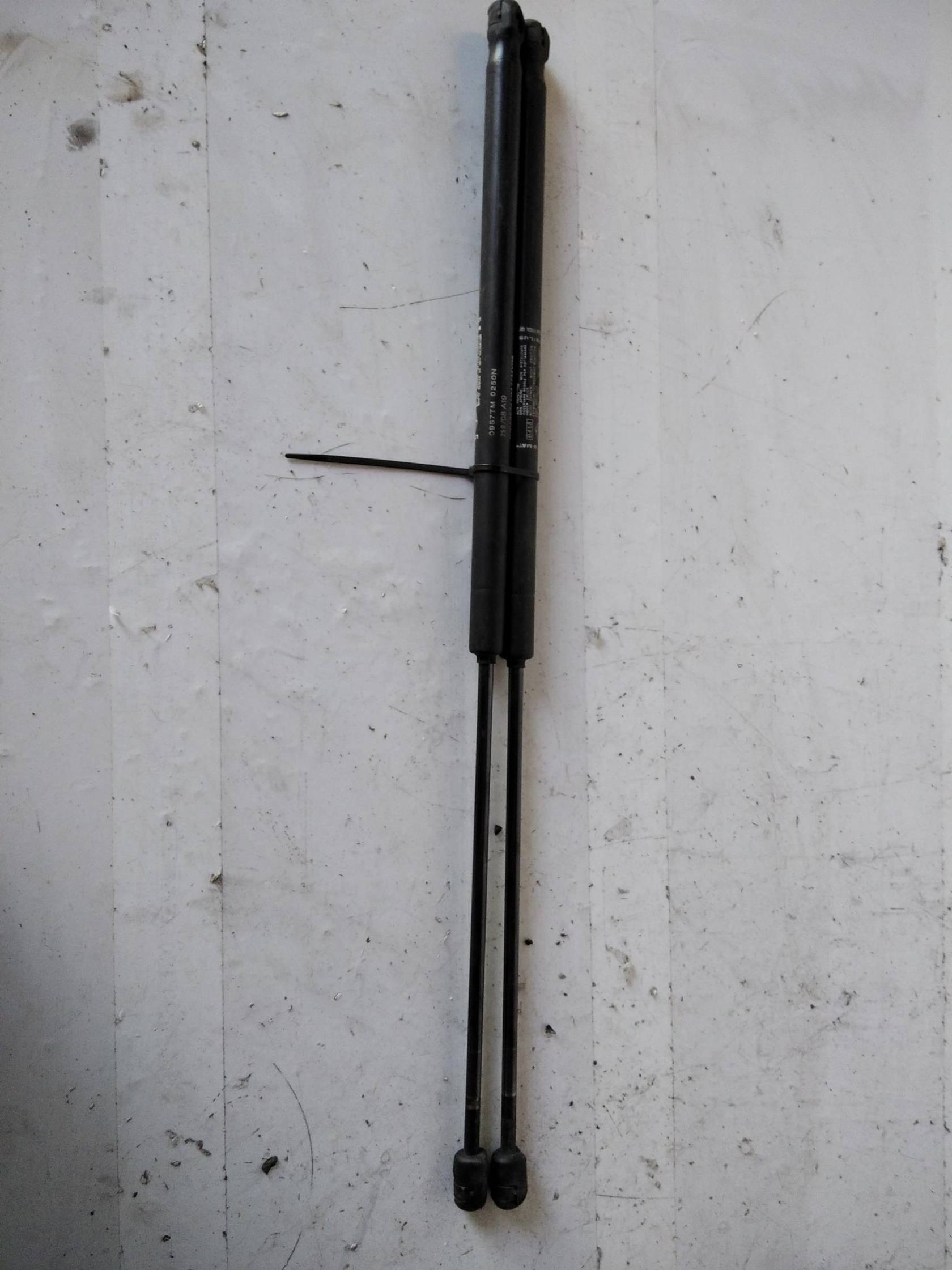 Asta ammortizzante portello post. sx.